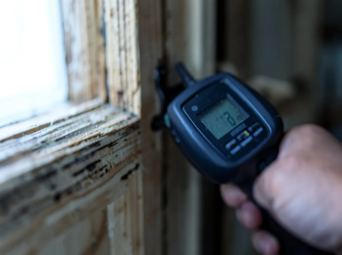 Moisture Inspection And Documentation in Griffin, GA
